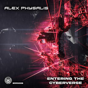 Entering the Cyberverse by Alex Physalis Cover Art