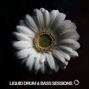 Liquid Drum and Bass Sessions 2019 Vol 2 by Dreazz Cover Art