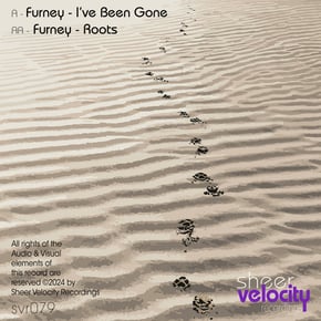 I've Been Gone / Roots by Furney Cover Art