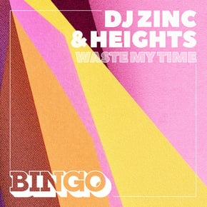Waste My Time by DJ Zinc Cover Art
