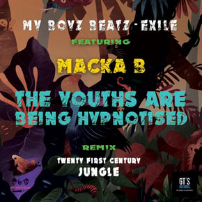 The Youths Are Being Hypnotised (Remix) by Exile Cover Art