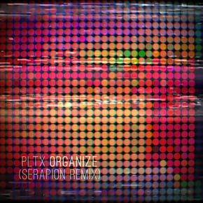 Organize (Serapion Remix) by Serapion & PLTX Cover Art