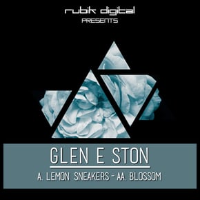Lemon Sneakers / Blossom by Glen E Ston Cover Art