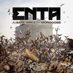 Bare Birdz / Mongoose by enta Cover Art