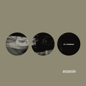 Assassin / The Abyss by Teebee Cover Art