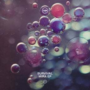 Mira EP, Pt. 1 by Survival Cover Art