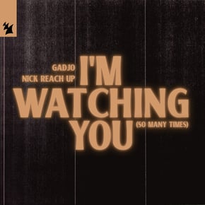 I'm Watching You (So Many Times) by Nick Reach Up Cover Art