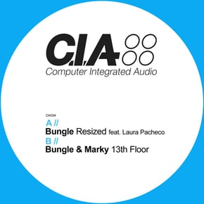 Resized / 13th Floor by Bungle Cover Art