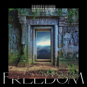 Freedom (Sub Focus x Wilkinson x High Contrast Remix) by Sub Focus, Wilkinson & High Contrast Cover Art