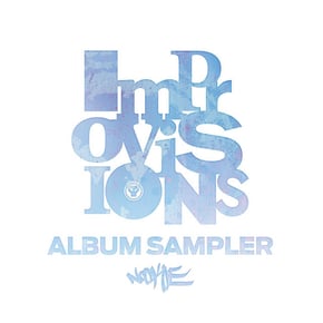 Improvisions (Album Sampler) by Nookie Cover Art
