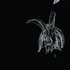 Kilo Remix / Dream Logic by Gremlinz, Overlook & Aspect Cover Art