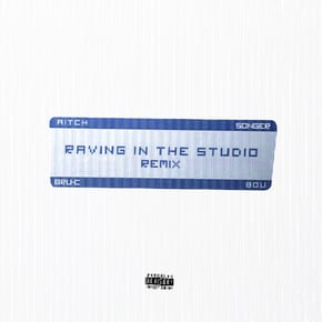 Raving In The Studio (Bru-C & Songer Remix) by Bou Cover Art