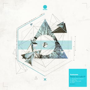 Never Too Late EP by Funkware Cover Art