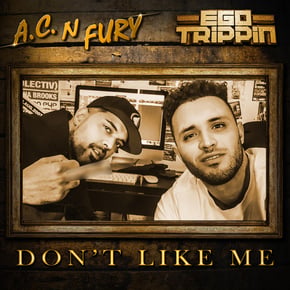 Don't like me (Radio Edit) by Ego Trippin Cover Art