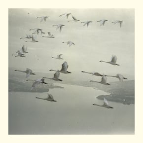 And the World Was Gone by Calibre, Snow Ghosts & Roly Porter Cover Art