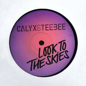 Look to the Skies by Calyx, Teebee & Calyx & TeeBee Cover Art