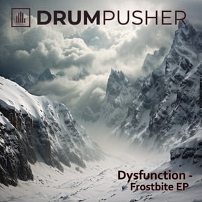 Frostbite EP by Dysfunction Cover Art