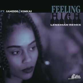 Feeling High (Lenzman Remix) by Lenzman Cover Art