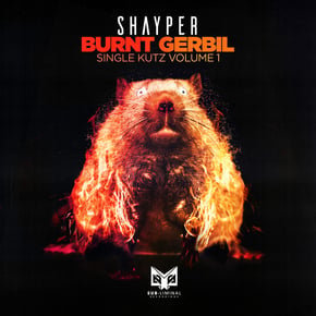 Burnt Gerbil by Shayper Cover Art