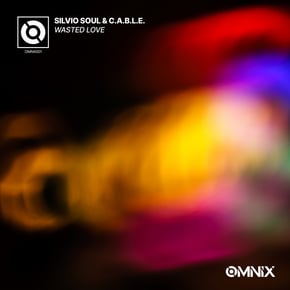 Wasted Love by C.A.B.L.E. & Silvio Soul Cover Art