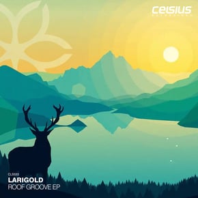 Roof Groove EP by Larigold Cover Art