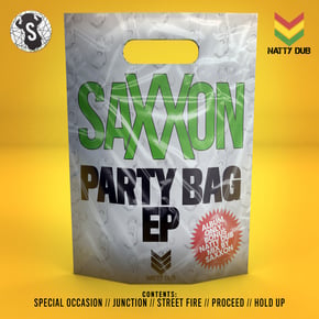 Party Bag by Saxxon Cover Art