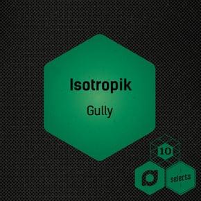 Gully by Isotropik Cover Art