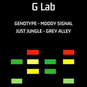 Moody Signal/Grey Alley by Genotype Cover Art