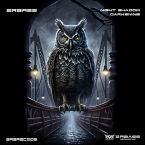 Night Sensation by ERBass Cover Art