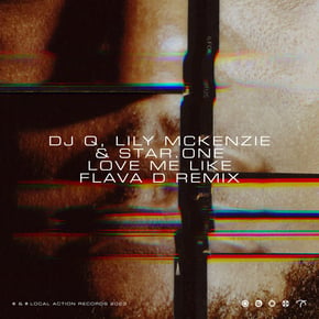 Love Me Like (Flava D Remix) by Flava D Cover Art