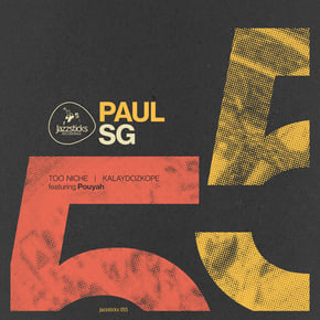 Too Niche / Kalaydozkope by Paul SG Cover Art
