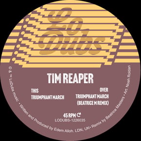 Triumphant March by Tim Reaper Cover Art