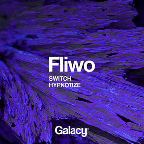 Switch / Hypnotize by Fliwo Cover Art