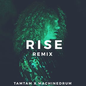 Rise (Remix) by Machinedrum & Tamtam Cover Art