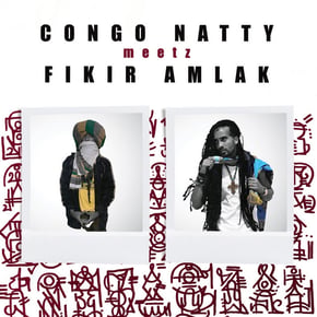 Congo Natty Meetz Fikir Amlak by Congo Natty Cover Art