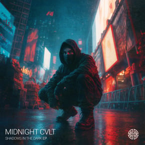 Shadows in the Dark by Prolix Cover Art