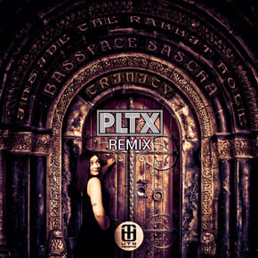 Inside the Rabbit Hole (PLTX Remix) by Bassface Sascha, PLTX & Trinity Cover Art