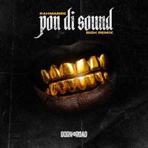 Pon Di Sound (Bish Remix) by Rahmanee & Bish Cover Art