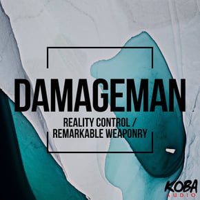 Reality Control / Remarkable Weaponry by Damageman Cover Art
