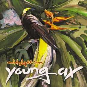 Midnight Sun by Young Ax & Kryptic Minds Cover Art