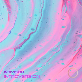 Introversion by Indivision Cover Art