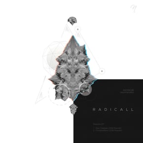 Reworks EP by Radicall Cover Art