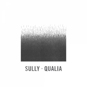 Qualia by Sully Cover Art