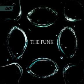 The Funk by Lexurus Cover Art