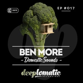 Domestic Sounds by Ben More Cover Art