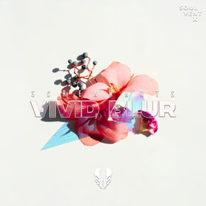 Vivid Blur by Screamarts Cover Art