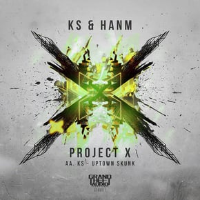 Project X // Uptown Skunk by Hanm Cover Art