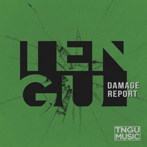 Damage Report by Tengu Cover Art