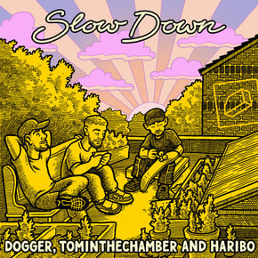 Slow Down by Dogger, TomInTheChamber & Haribo Cover Art