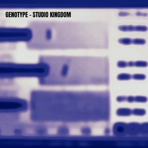 Studio Kingdom by Genotype Cover Art